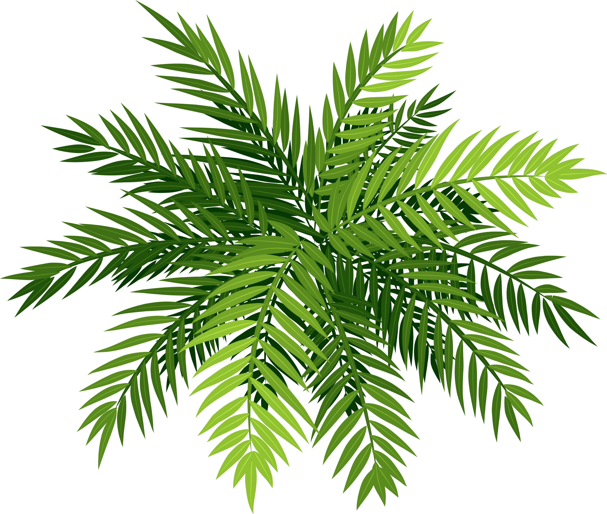 Right Leaves